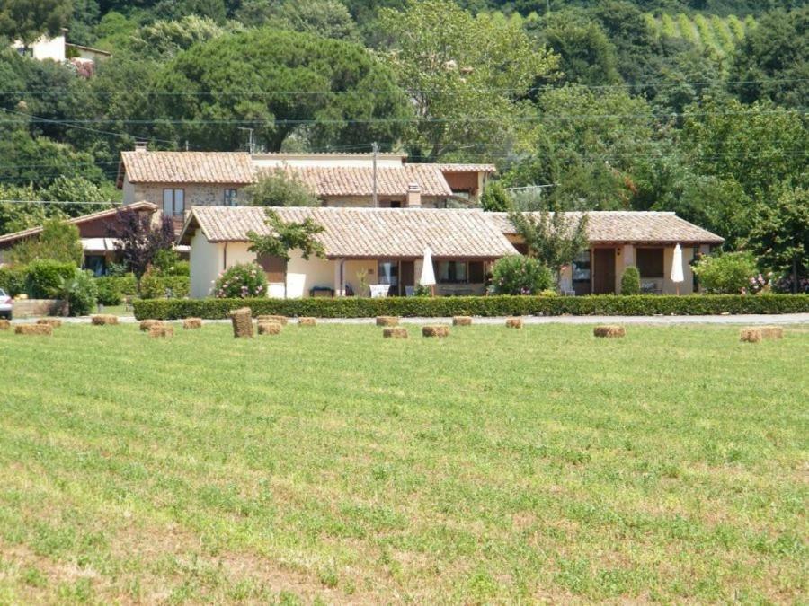 Agriturismo Casale Del Contadino Bolsena Kültér fotó