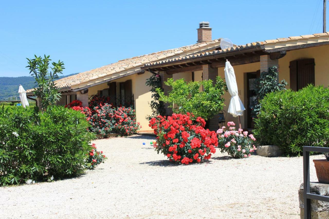 Agriturismo Casale Del Contadino Bolsena Kültér fotó