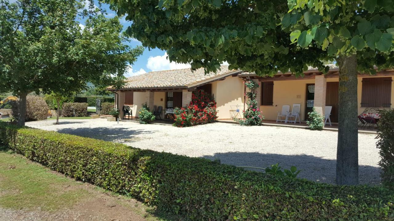 Agriturismo Casale Del Contadino Bolsena Kültér fotó